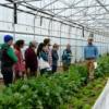 Apprentices at Maine Organic Farmers and Gardeners Assocation (MOFGA) learn about early-season greens production